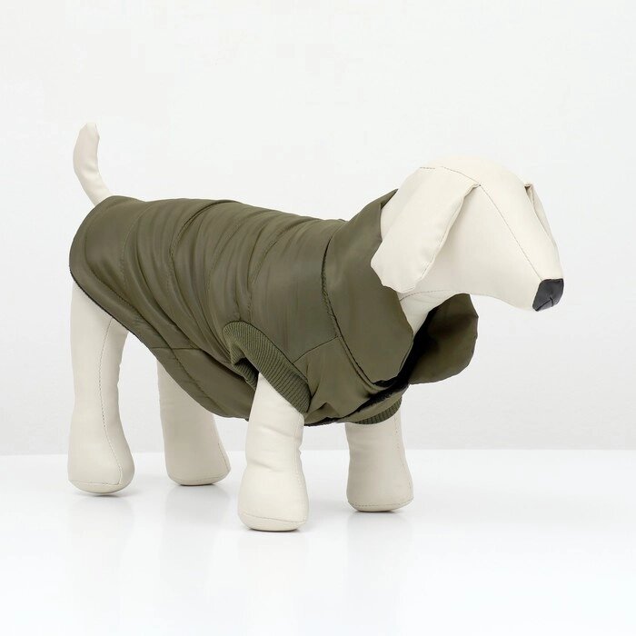 Куртка для собак "Прятки", размер M (ДС 30, ОГ 40, ОШ 30 см), зелёная от компании Интернет - магазин Flap - фото 1