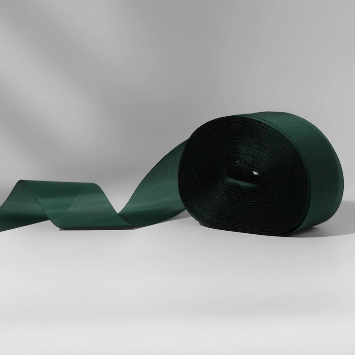 Лента капроновая, 50 мм, 100  5 м, цвет тёмно-зелёный от компании Интернет - магазин Flap - фото 1