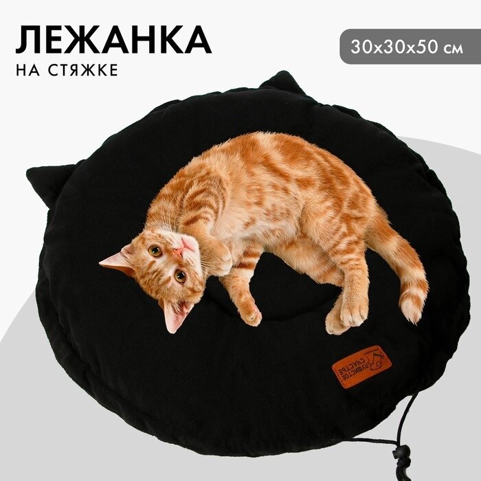Лежанка для животных на стяжке с ушками, цвет чёрный 30-30-50 см от компании Интернет - магазин Flap - фото 1