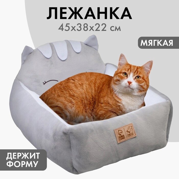 Лежанка с бортиком «Милый котёнок» 45х38х22 см от компании Интернет - магазин Flap - фото 1