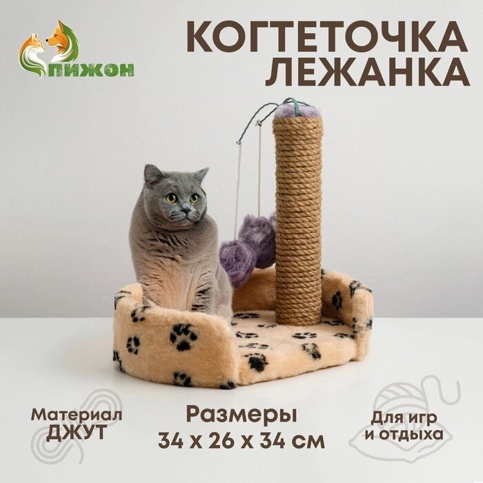 Лежанка с когтеточкой для котят, 34 х 26 х 34 см, джут, микс цветов от компании Интернет - магазин Flap - фото 1