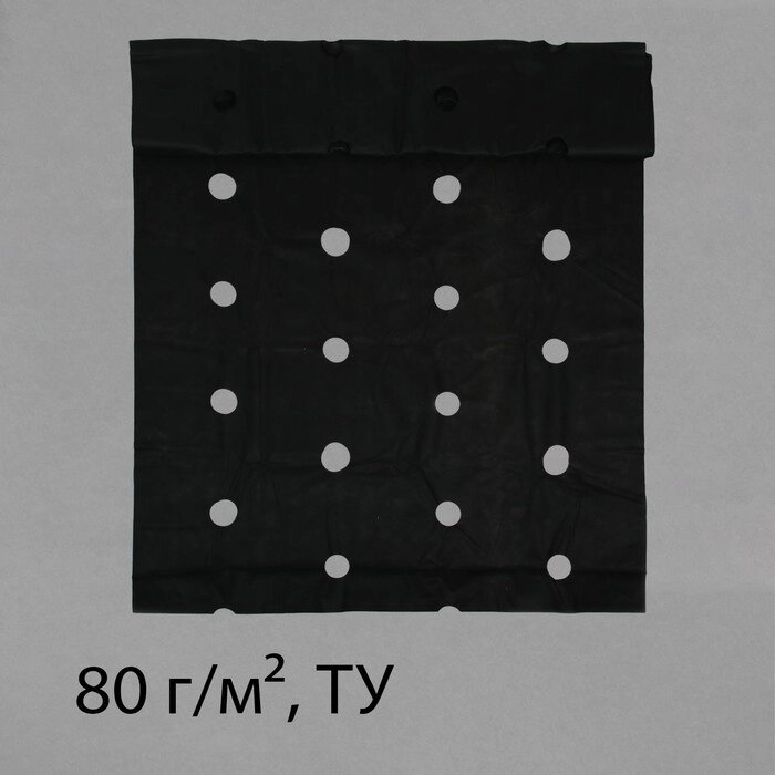Материал мульчирующий, с перфорацией (4 ряда), 20  1,6 м, плотность 80 г/м², спанбонд с УФ-стабилизатором, чёрный, от компании Интернет - магазин Flap - фото 1