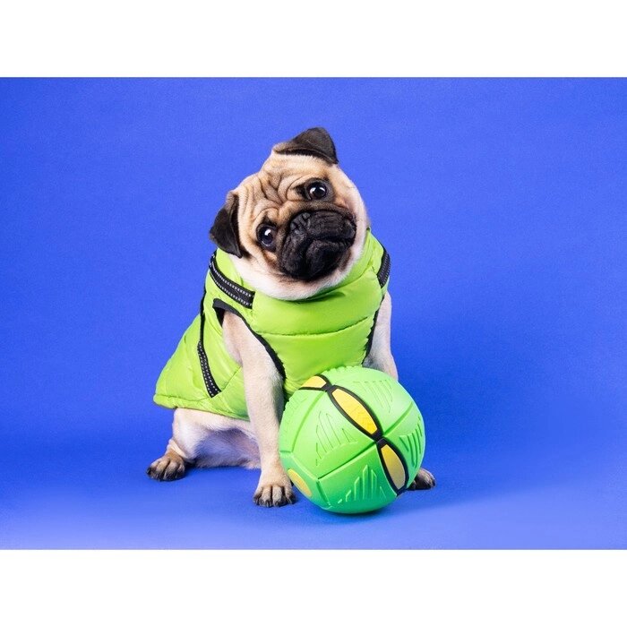 Мяч - фрисби для собак "НЛО" зелёный, 16 см от компании Интернет - магазин Flap - фото 1