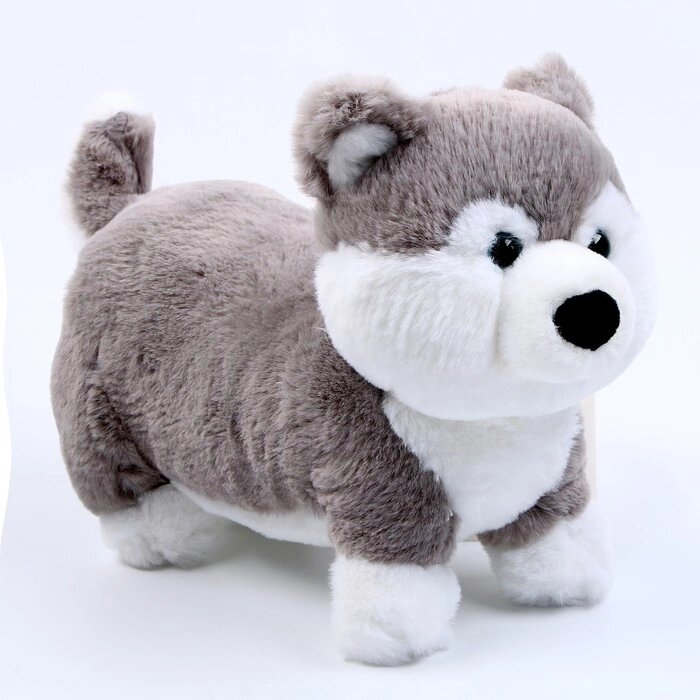 Мягкая игрушка «Хаски», размер 28 см, цвет серый от компании Интернет - магазин Flap - фото 1
