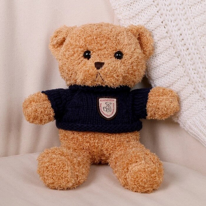 Мягкая игрушка «Медведь» в кофте, 28 см, цвет МИКС от компании Интернет - магазин Flap - фото 1