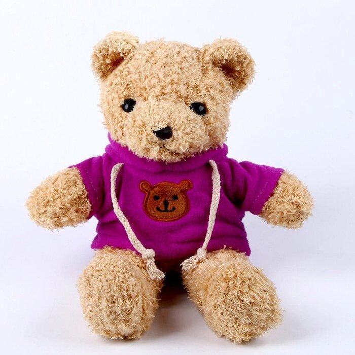 Мягкая игрушка «Медведь» в кофте, 30 см, цвет фиолетовый от компании Интернет - магазин Flap - фото 1