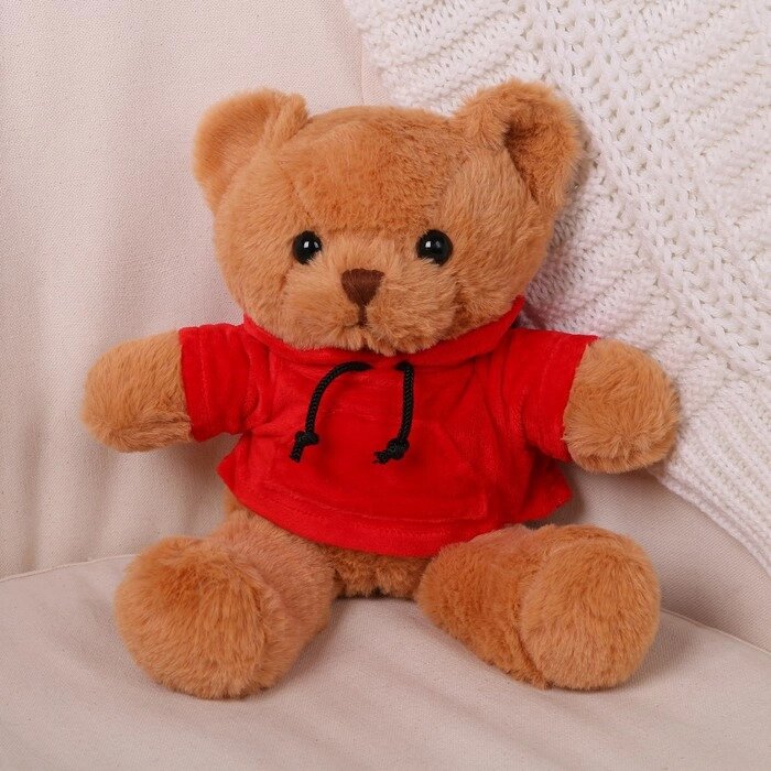 Мягкая игрушка «Медведь» в толстовке, 28 см, цвет МИКС от компании Интернет - магазин Flap - фото 1
