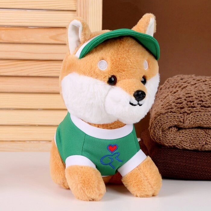 Мягкая игрушка «Собака» в зелёной кепке, 23 см от компании Интернет - магазин Flap - фото 1