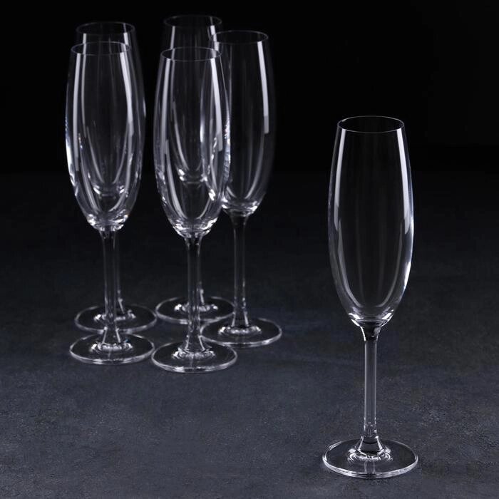 Набор бокалов для шампанского Colibri, 220 мл, 6 шт от компании Интернет - магазин Flap - фото 1