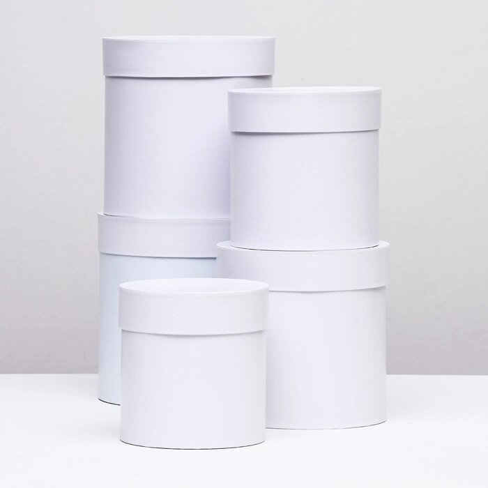 Набор круглых коробок 5в1 "Белизна перламутровая", 20  20 ‒15  15 см от компании Интернет - магазин Flap - фото 1
