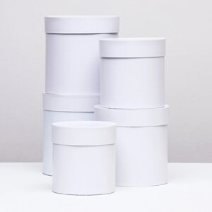 Набор круглых коробок 5в1 "Белизна перламутровая", 20 20 ‒15 15 см