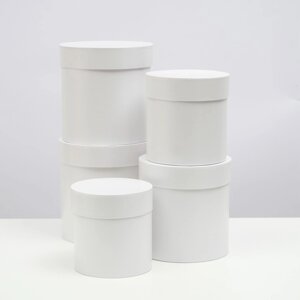 Набор шляпных коробок 5 в 1 "Белизна", 20 20 20 ‒ 13,5 13,5 13,5 см