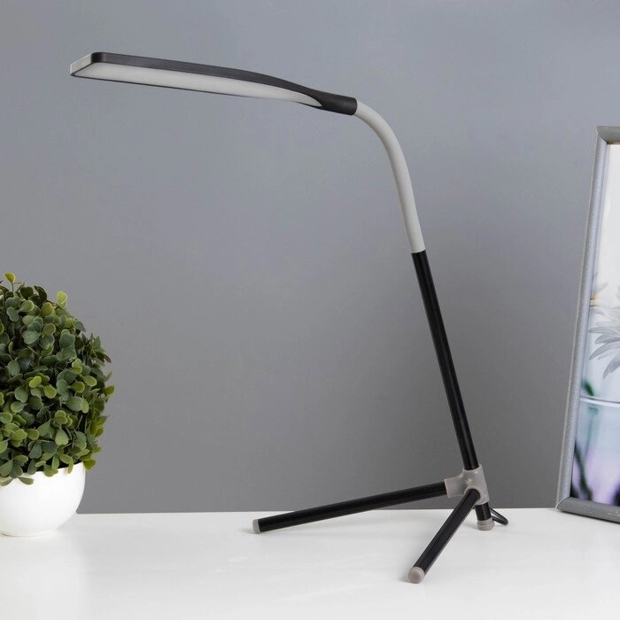 Настольная лампа "Эрудит" LED 5Вт черный 20х23х61 см RISALUX от компании Интернет - магазин Flap - фото 1