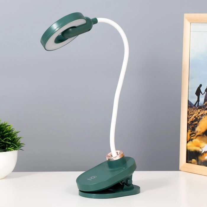 Настольная лампа на прищепке "Блум" LED 3Вт АКБ USB зеленый 8х12х42,5 см RISALUX от компании Интернет - магазин Flap - фото 1