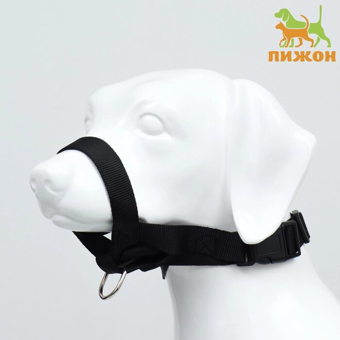 Недоуздок-намордник для собак строгий, размер L, ОМ 18-30 см, ОШ 16-24 см, черный от компании Интернет - магазин Flap - фото 1