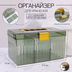 Органайзер для хранения косметических принадлежностей, сундук с крышкой, съёмные перегородки, 21,5 12 12 см, цвет МИКС