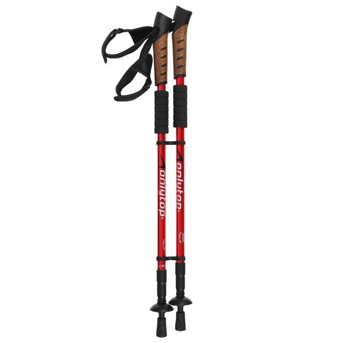Палки для скандинавской ходьбы ONLYTOP, телескопические, 3 секции, до 135 см, 2 шт., цвет МИКС от компании Интернет - магазин Flap - фото 1