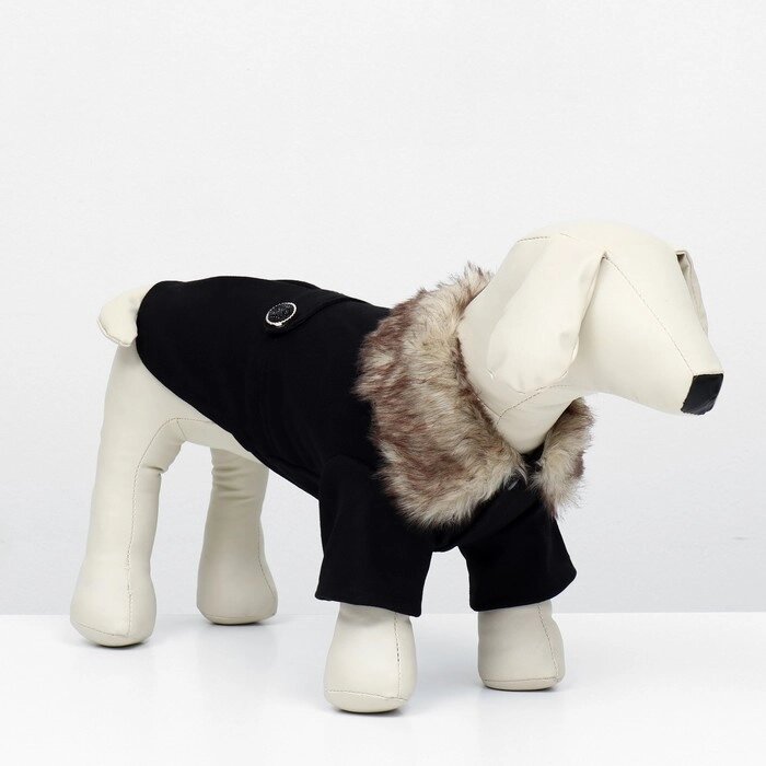 Пальто для собак, размер M (ДС 30, ОГ 44-45, ОШ 29-30 см), чёрное от компании Интернет - магазин Flap - фото 1