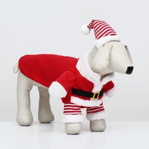 Новогодний костюм для собак "Клаус", размер S (ДС 25, ОГ 35 см)