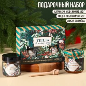 Подарочный набор «Новый год: Тепла в новом году»: алтайский мёд с мумиё 240 г., ягодно-травяной чай 50 г., ложка для