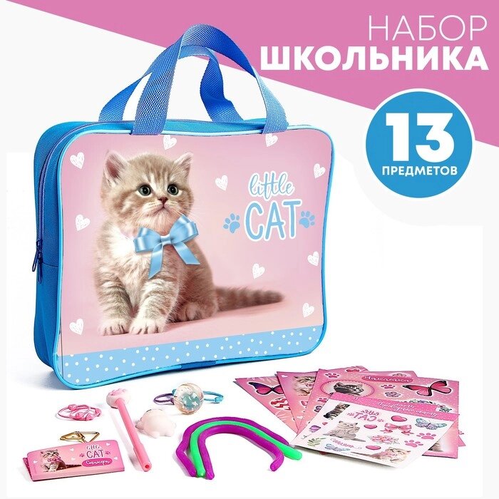 Подарочный набор школьника «Котик», 13 предметов от компании Интернет - магазин Flap - фото 1