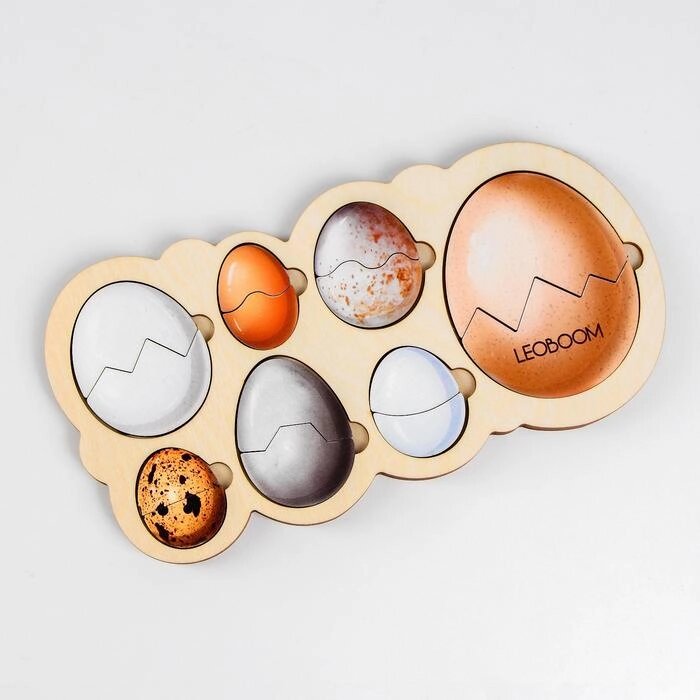 Рамка-вкладыш «Кто живет в яйце?» от компании Интернет - магазин Flap - фото 1