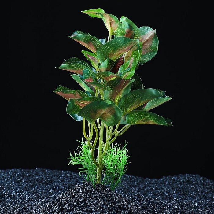 Растение аквариумное "в горшочке", 31 х 23 х 19 см от компании Интернет - магазин Flap - фото 1