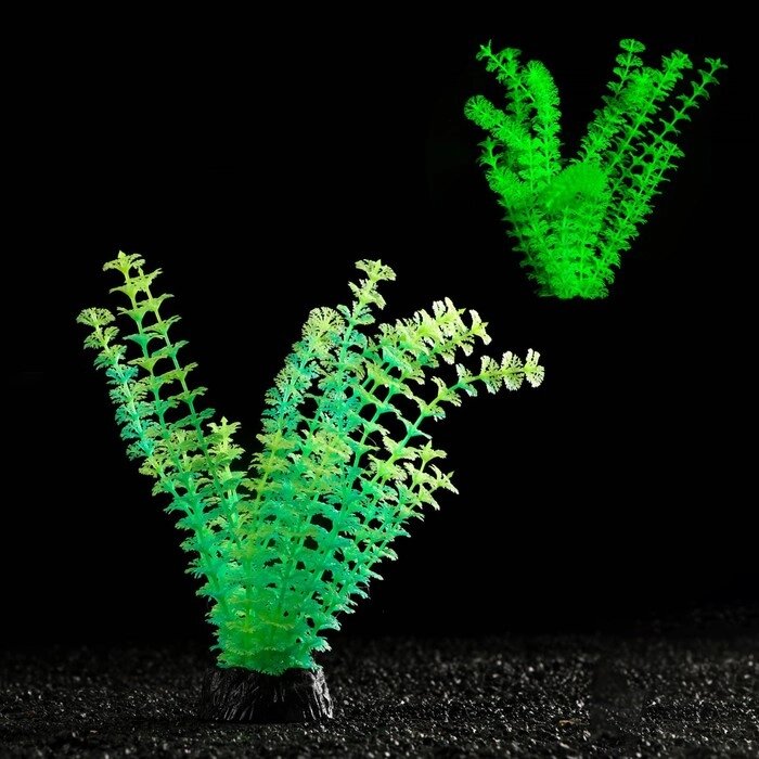 Растение искусственное аквариумное, светящееся, 18 см, зелёное от компании Интернет - магазин Flap - фото 1