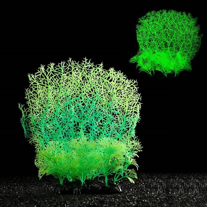 Растение искусственное аквариумное, светящееся, 23 см, зелёное от компании Интернет - магазин Flap - фото 1