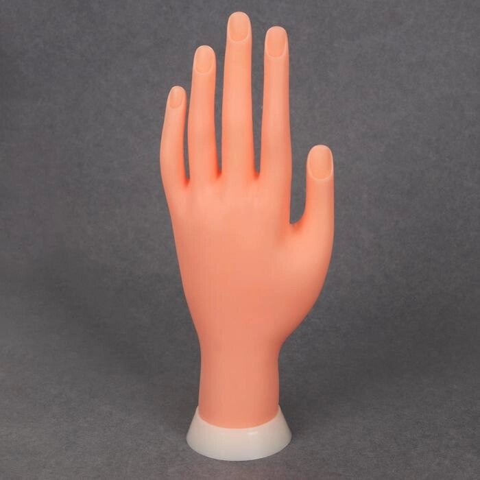 Рука тренировочная для маникюра, с гнущимися пальцами, в картонной коробке, цвет бежевый от компании Интернет - магазин Flap - фото 1