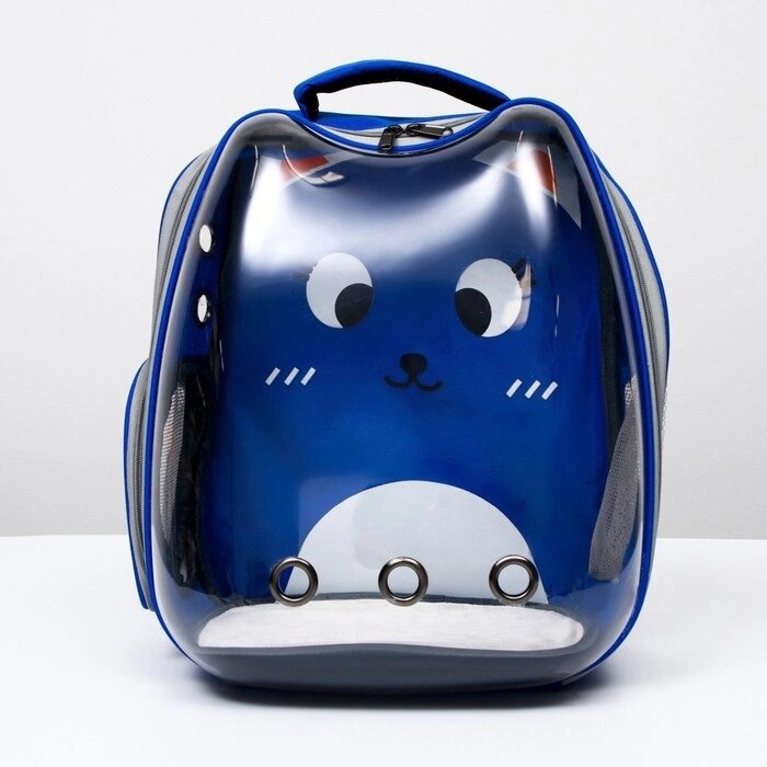 Рюкзак для переноски животных "Котик", прозрачный, 34 х 25 х 40 см, синий от компании Интернет - магазин Flap - фото 1