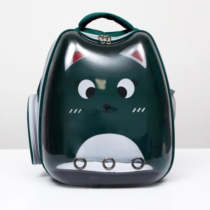Рюкзак для переноски животных "Котик", прозрачный, 34 х 25 х 40 см, зелёный от компании Интернет - магазин Flap - фото 1