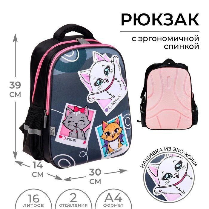 Рюкзак каркасный Calligrata, 39х30х14 см, "Котята", для девочки от компании Интернет - магазин Flap - фото 1