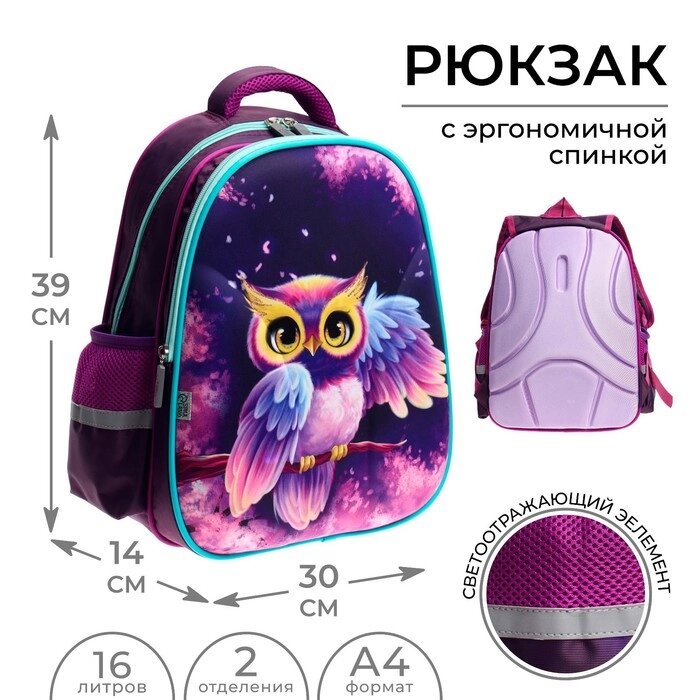 Рюкзак каркасный Calligrata, 39х30х14 см, "Сова", для девочки от компании Интернет - магазин Flap - фото 1