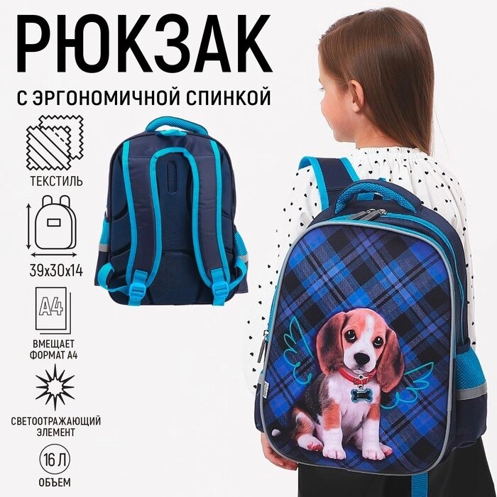 Рюкзак каркасный школьный Calligrata "Собачка", 39 х 30 х 14 см от компании Интернет - магазин Flap - фото 1