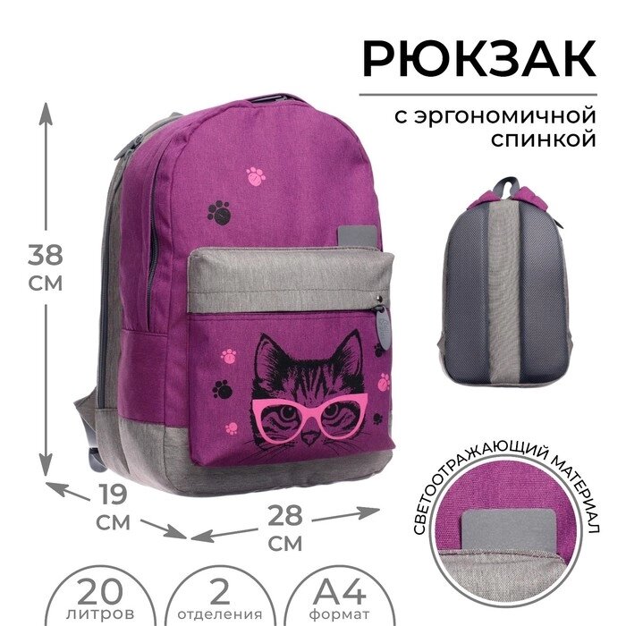 Рюкзак молодёжный, 38 х 28 х 19 см, эргономичная спинка, Calligrata Э "Кот" от компании Интернет - магазин Flap - фото 1