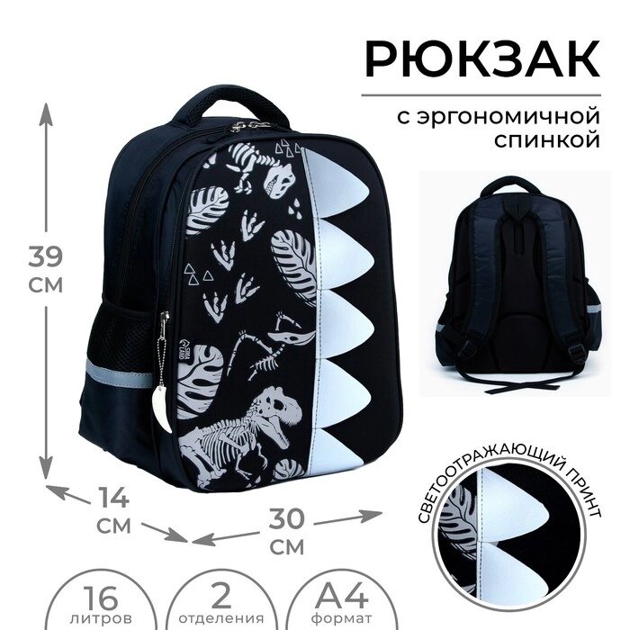 Рюкзак школьный каркасный 39х30х14 см  «1 сентября: Мир динозавров» от компании Интернет - магазин Flap - фото 1