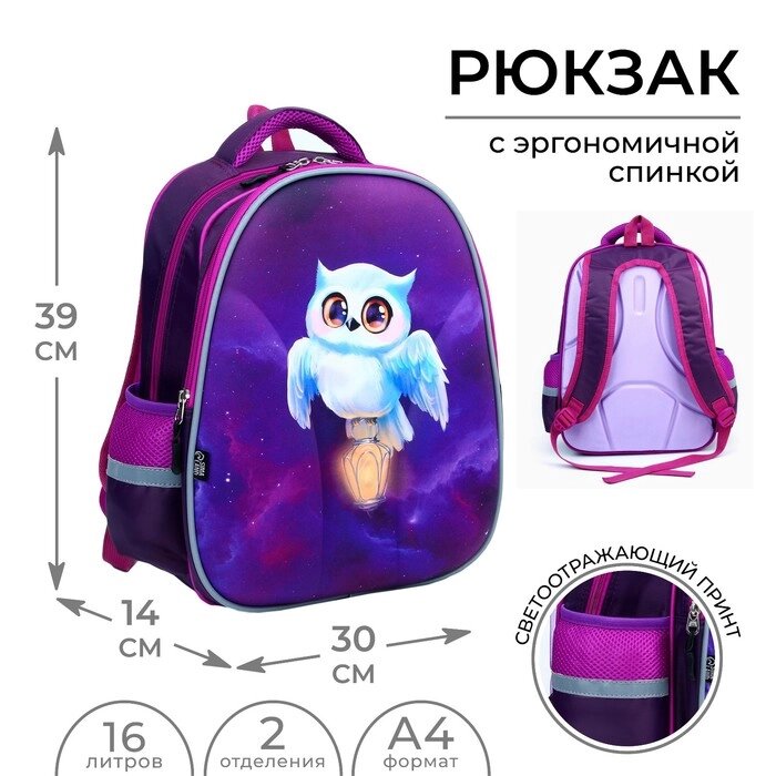 Рюкзак школьный каркасный 39х30х14 см «1 сентября: Сова с лампой» от компании Интернет - магазин Flap - фото 1