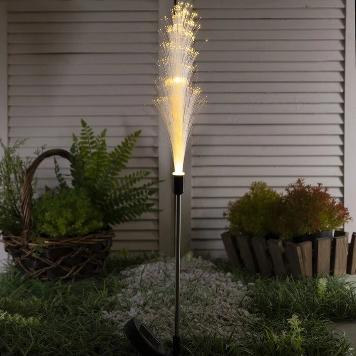 Садовый светильник на солнечной батарее «Колос», 85 см, 8 LED, свечение тёплое белое от компании Интернет - магазин Flap - фото 1
