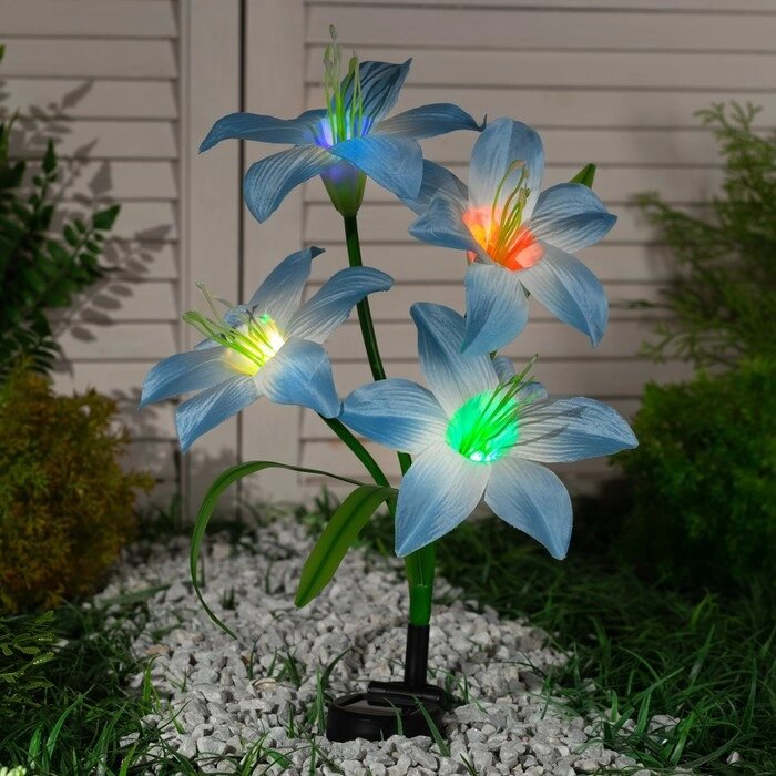 Садовый светильник на солнечной батарее «Лилия синяя», 80 см,4 LED, свечение мульти (RGB) от компании Интернет - магазин Flap - фото 1