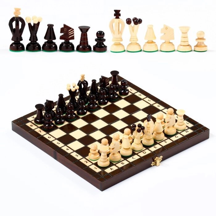 Шахматы польские Madon "Королевские", 28 х 28 см, король h=6 см, пешка h-3 см от компании Интернет - магазин Flap - фото 1