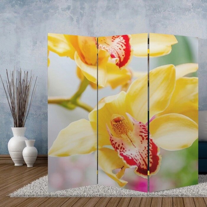 Ширма "Орхидеи", 150 х 160 см от компании Интернет - магазин Flap - фото 1