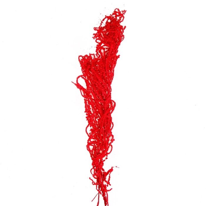 Сухие цветы амаранта, 100 г, размер листа: от 50 до 60 см, цвет красный от компании Интернет - магазин Flap - фото 1