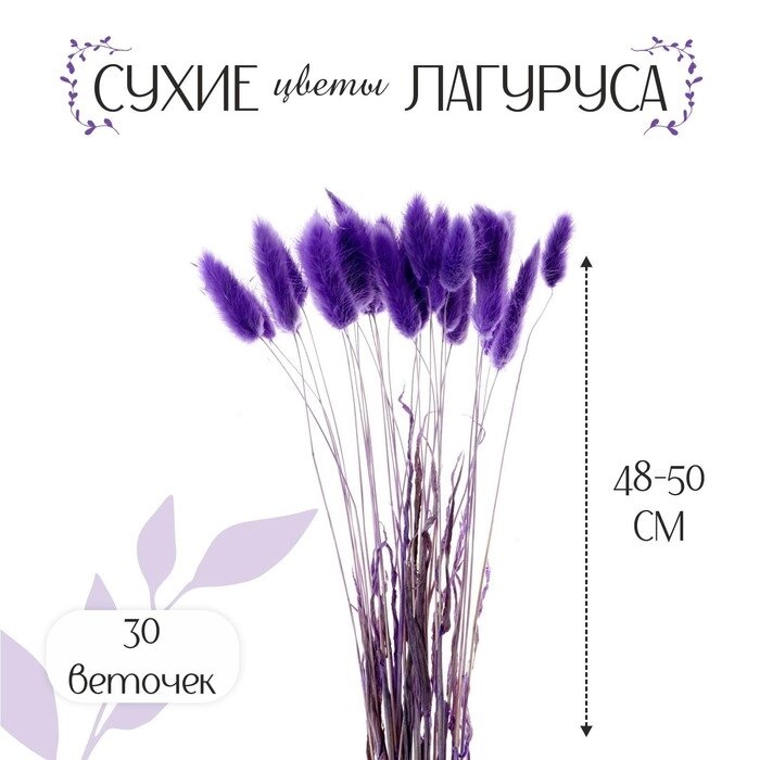 Сухие цветы лагуруса, набор 30 шт., цвет фиолетовый от компании Интернет - магазин Flap - фото 1