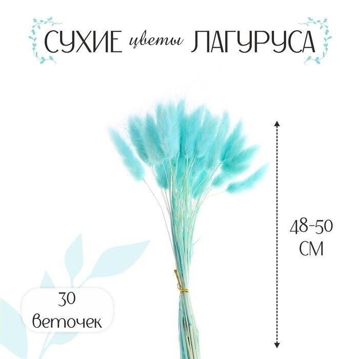 Сухие цветы лагуруса, набор 30 шт., цвет голубой от компании Интернет - магазин Flap - фото 1