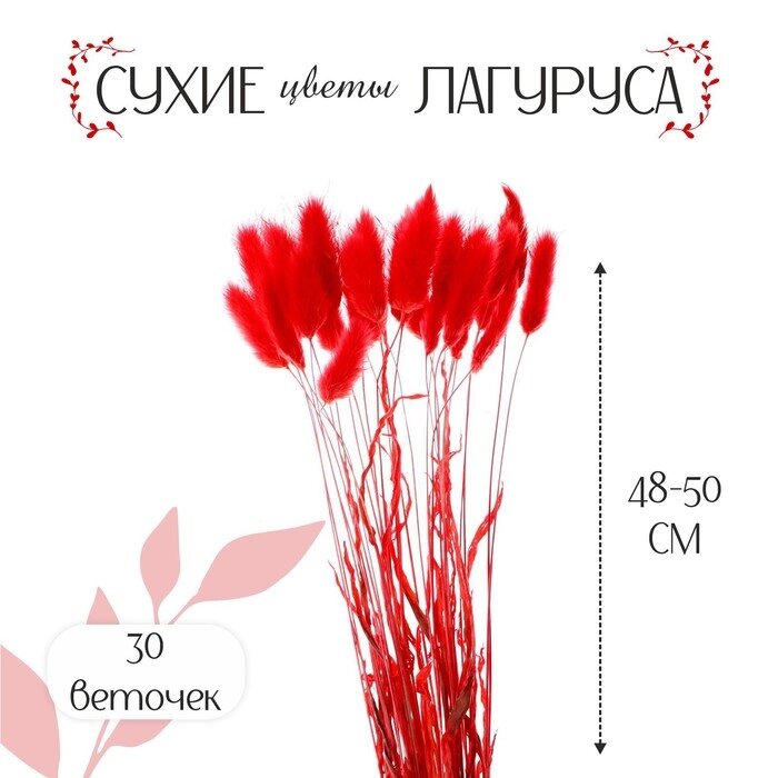 Сухие цветы лагуруса, набор 30 шт., цвет красный от компании Интернет - магазин Flap - фото 1
