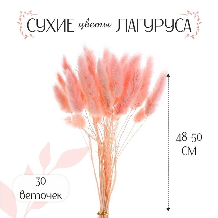 Сухие цветы лагуруса, набор 30 шт., цвет розовый от компании Интернет - магазин Flap - фото 1