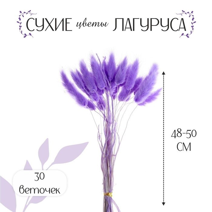Сухие цветы лагуруса, набор 30 шт., цвет светло фиолетовый от компании Интернет - магазин Flap - фото 1