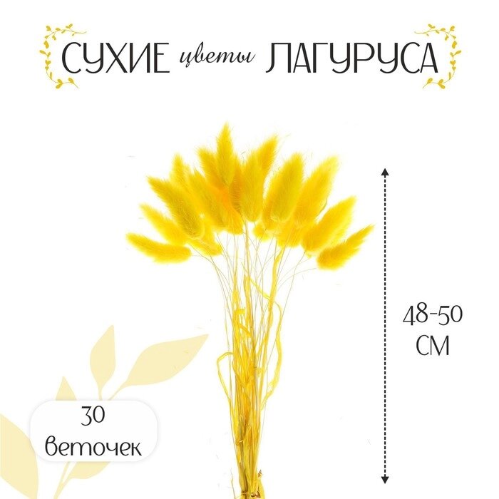Сухие цветы лагуруса, набор 30 шт., цвет жёлтый от компании Интернет - магазин Flap - фото 1