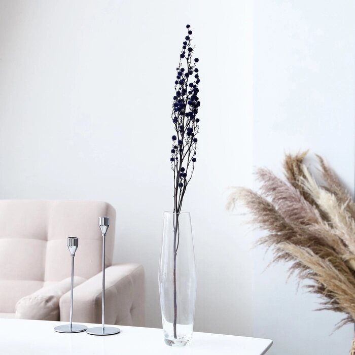 Сухие цветы «Молочай Миля» , 25 г, длина — 70 см, цвет фиолетовый от компании Интернет - магазин Flap - фото 1